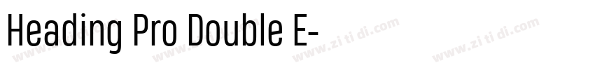 Heading Pro Double E字体转换